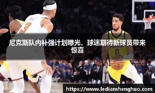 尼克斯队内补强计划曝光，球迷期待新球员带来惊喜